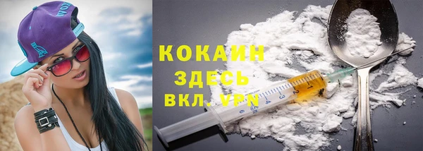 стаф Нефтегорск