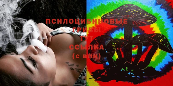 стаф Нефтегорск