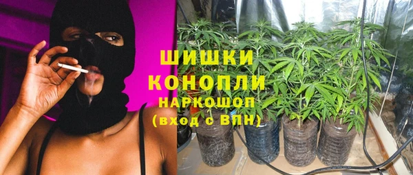 ГАЛЛЮЦИНОГЕННЫЕ ГРИБЫ Нефтекумск