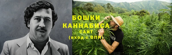 стаф Нефтегорск