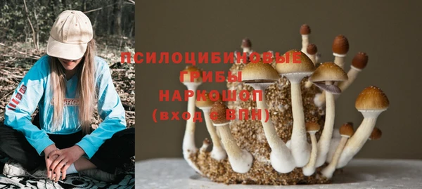 ГАЛЛЮЦИНОГЕННЫЕ ГРИБЫ Нефтекумск