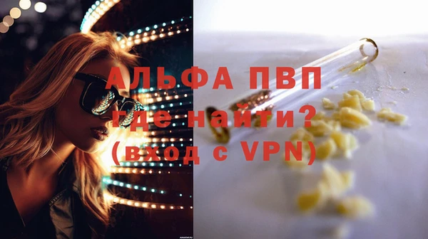 стаф Нефтегорск