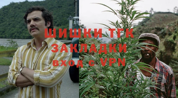 стаф Нефтегорск